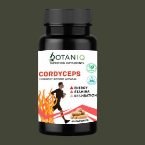 Cordyceps Capsules 500mg
