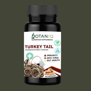Turkey Tail Capsules 500mg