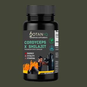 Cordyceps Shilajit Capsules 500mg