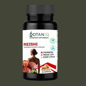 Reishi Capsules 500mg