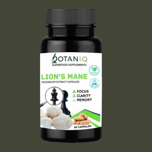 Lion's Mane Capsules 500mg