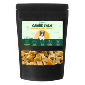 canine calm