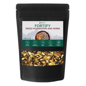 Fortify Mushroom Herbal Tea