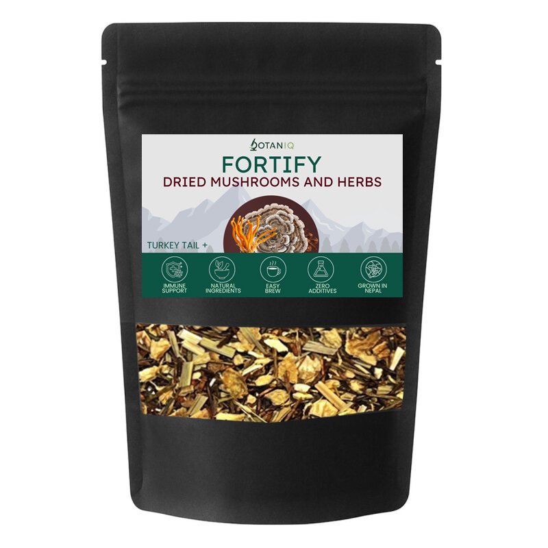 Fortify Mushroom Herbal Tea