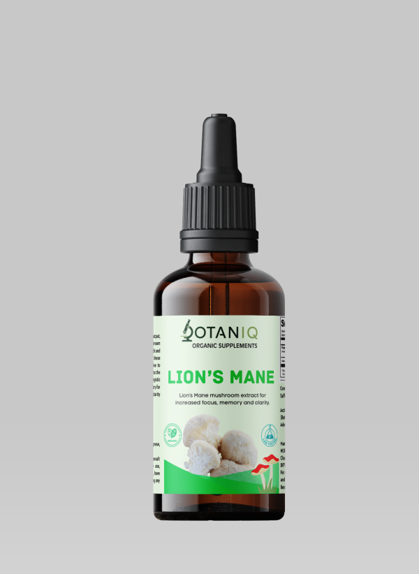 Lion's Mane Tincture