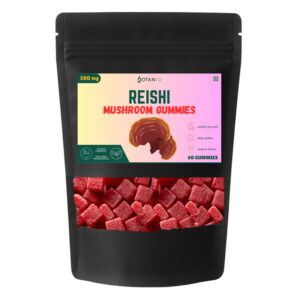 Reishi Gummies